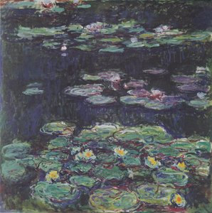 White and Yellow Water-Lilies
